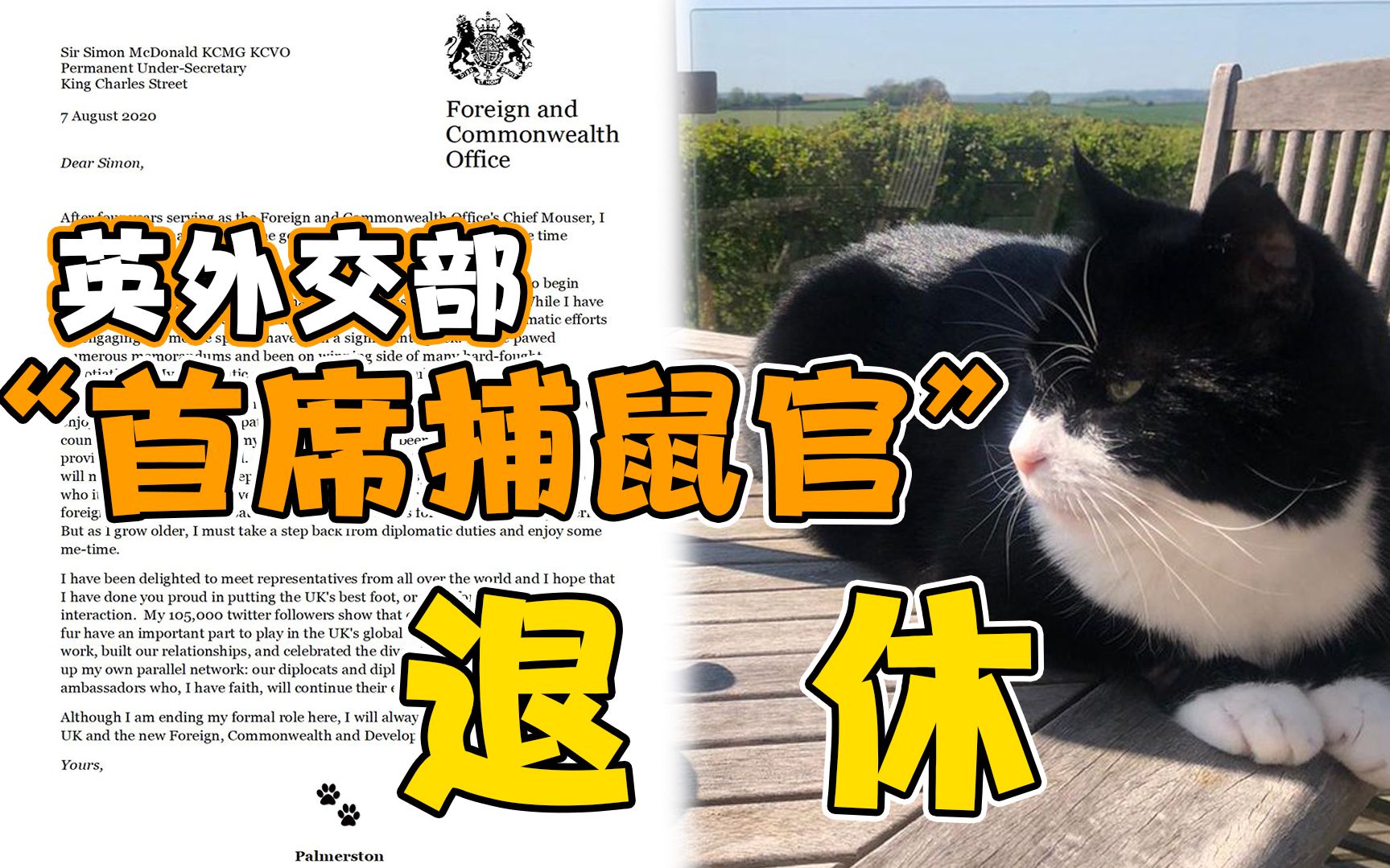 跟Larry打架的猫要退休了 英国外交部“首席捕鼠官”将卸任