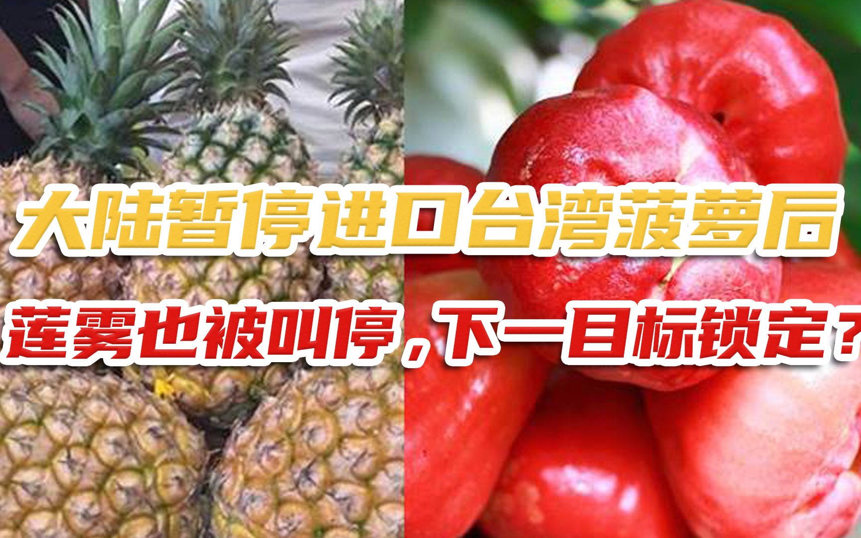 大陆暂停进口台湾菠萝后，莲雾也被叫停，下一目标锁定？