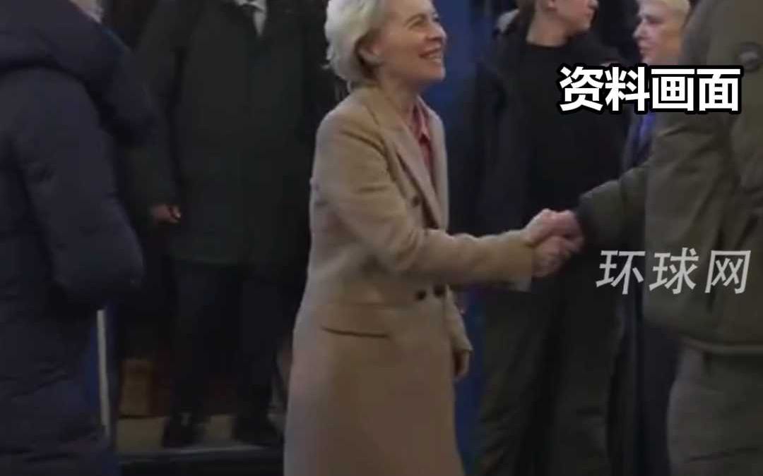 法媒：欧盟也要求与乌克兰签矿产协议，并承诺是“双赢”的