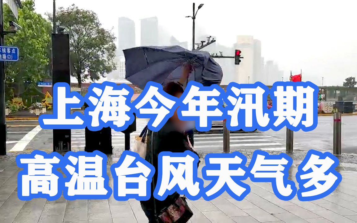 正式入汛！上海今年汛期高温台风天数多