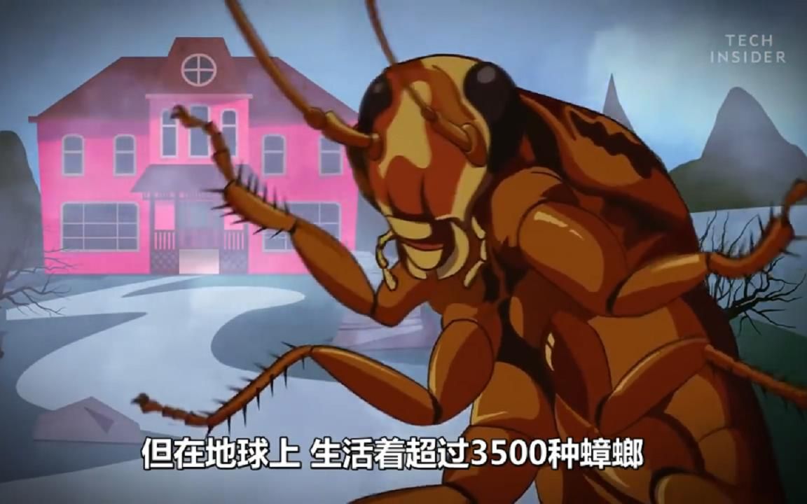 为什么杀灭蟑螂这么难？看完这个视频我已心如止水...