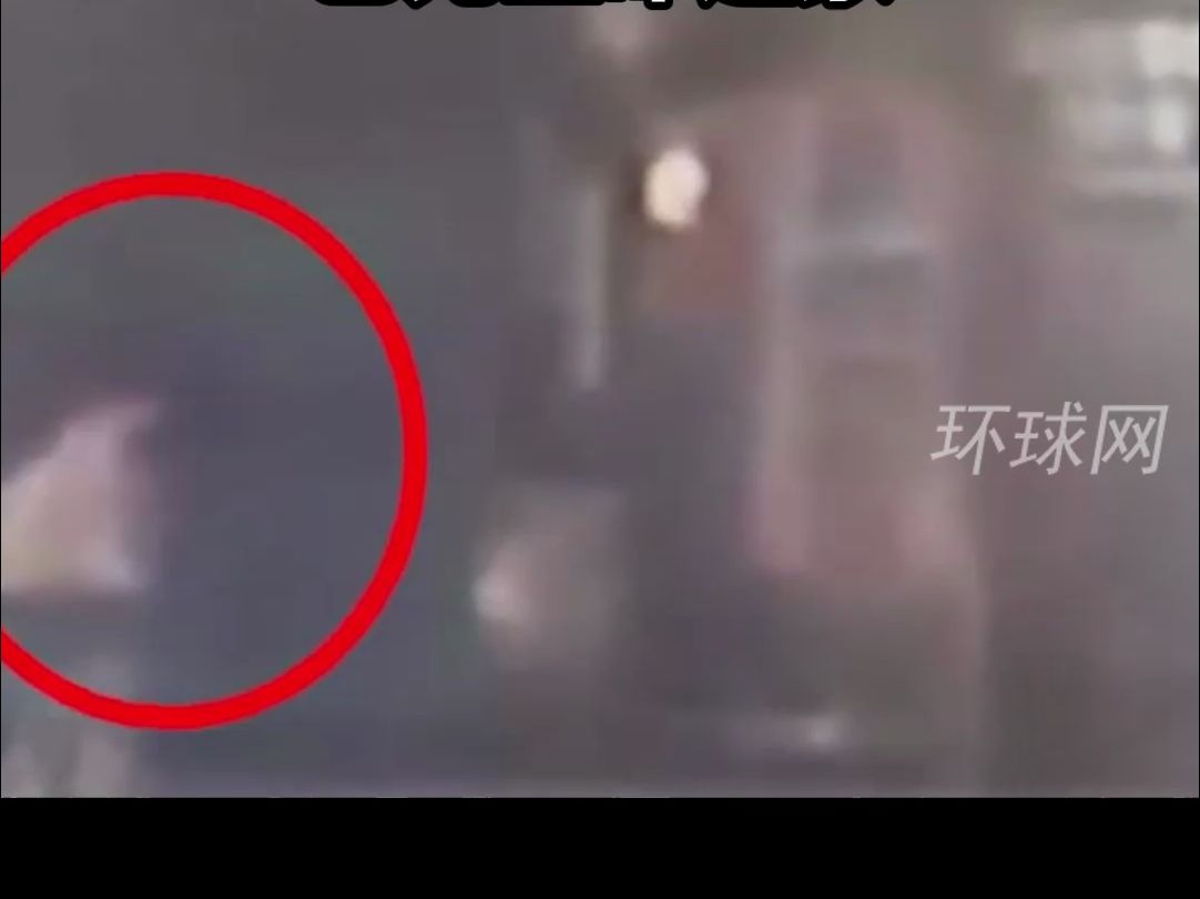 台湾一大楼女住户逃生后“折返救猫”受困，搜救人员找到时已无生命迹象