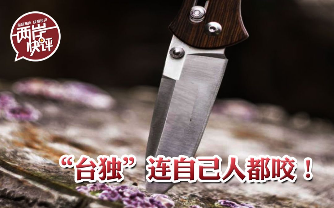 “台独”连自己人都咬 深绿挺英粉专无奈承认“看走眼了”