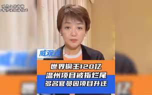 正威集团平阳120亿项目烂尾 ！“大蛋糕”没做好却有多人得以升迁