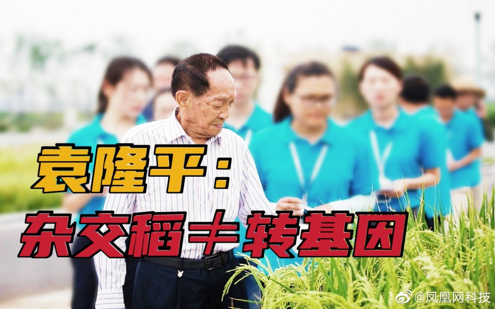 袁隆平：杂交水稻和转基因是两回事 不能谈虎变色...