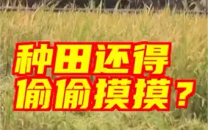 半月谈评农民被封控遭遇春耕难：农民种田还得偷偷摸摸、托关系？