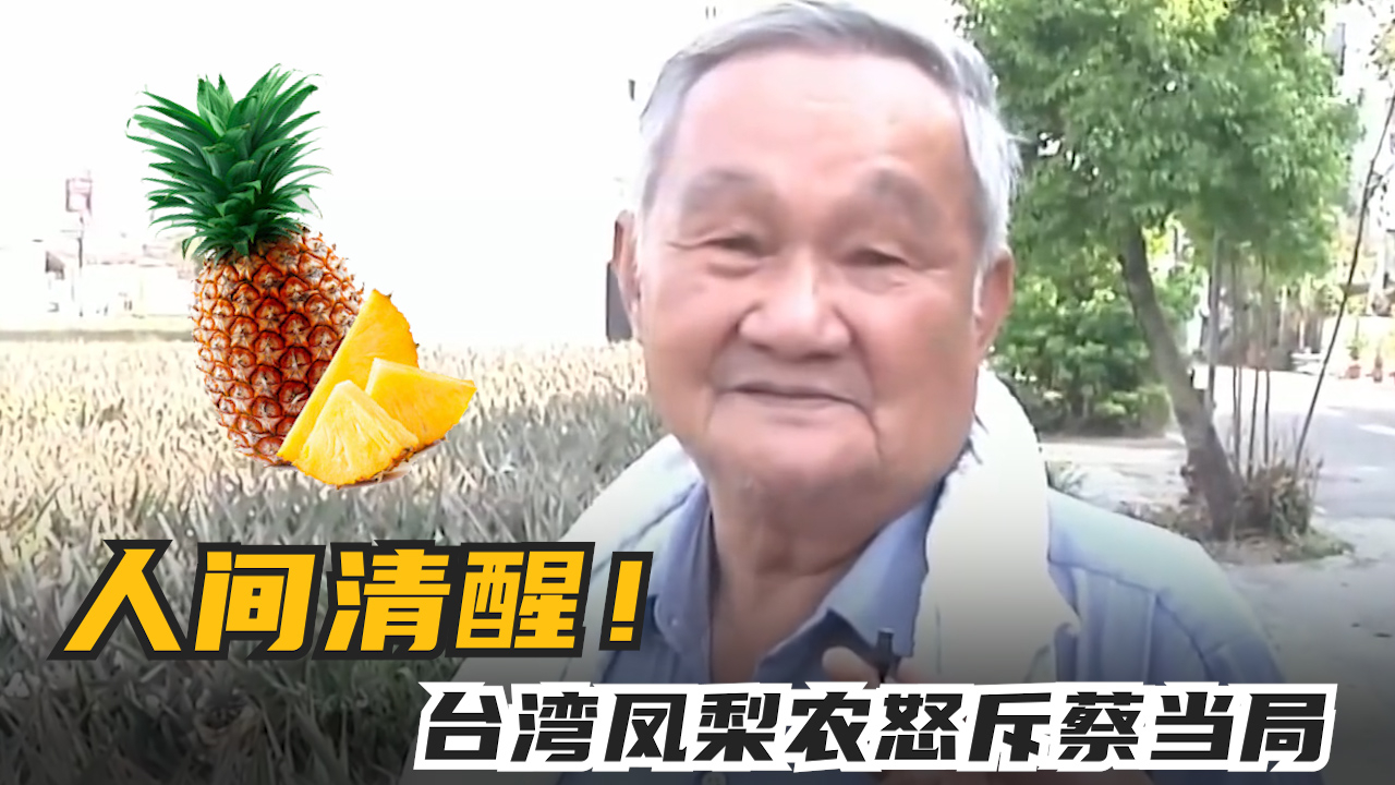 人间清醒！台湾凤梨农怒斥蔡当局