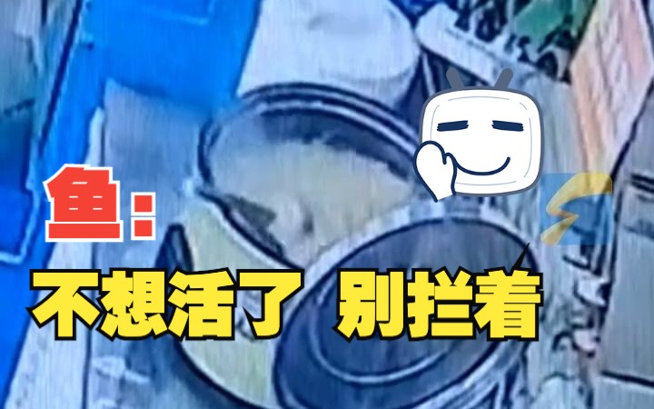 鱼主动跳锅把自己炖成海鲜粥 网友：最后盖盖子是我没想到的