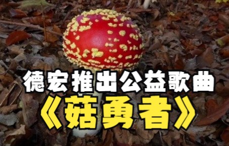 谨防野生菌中毒 云南德宏推出公益歌曲《菇勇者》