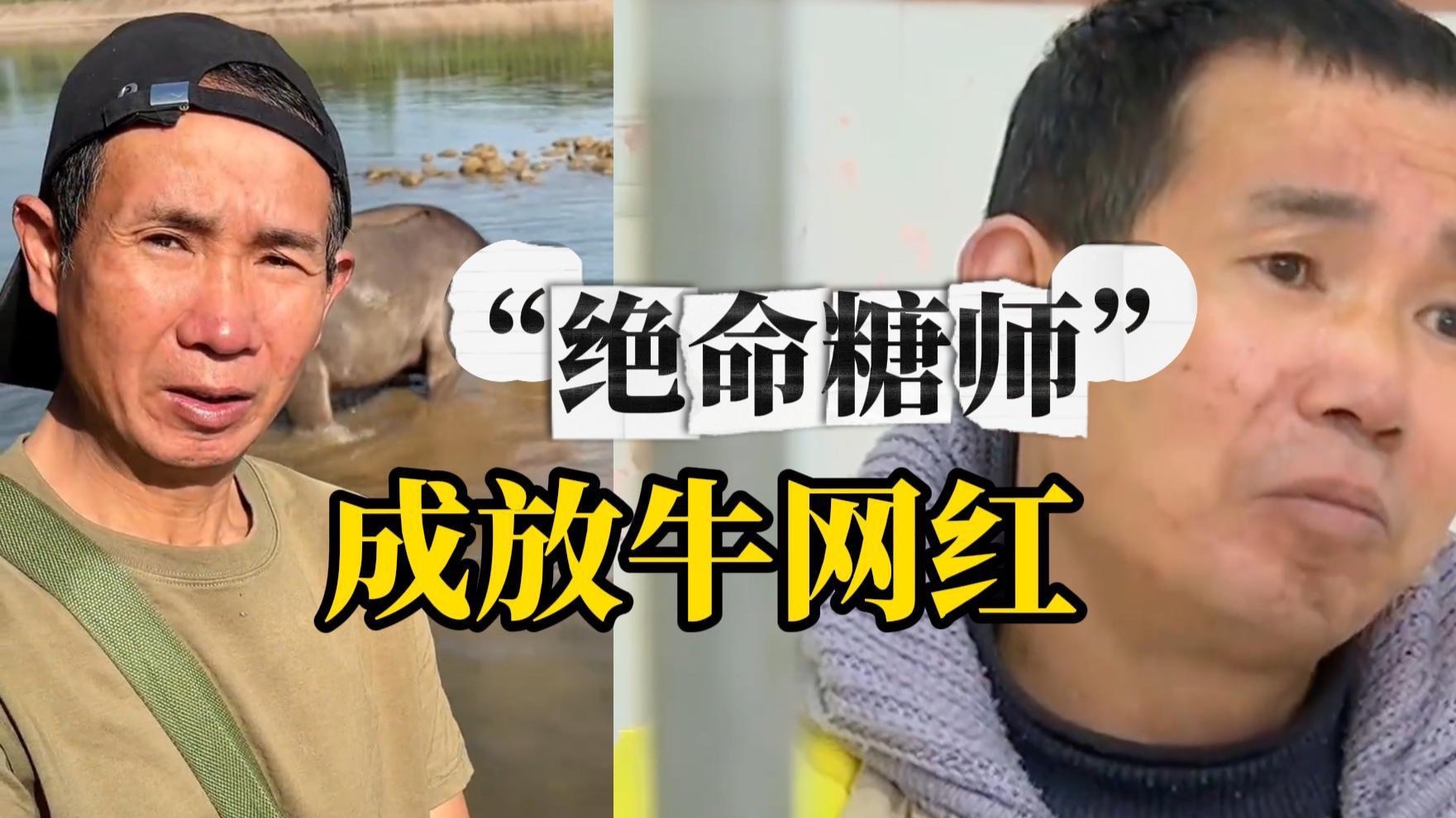 曾把冰糖假冒毒品让瘾君子吃出糖尿病，“绝命糖师”改行成放牛网红“请家人们口下留情，给我一条活路”