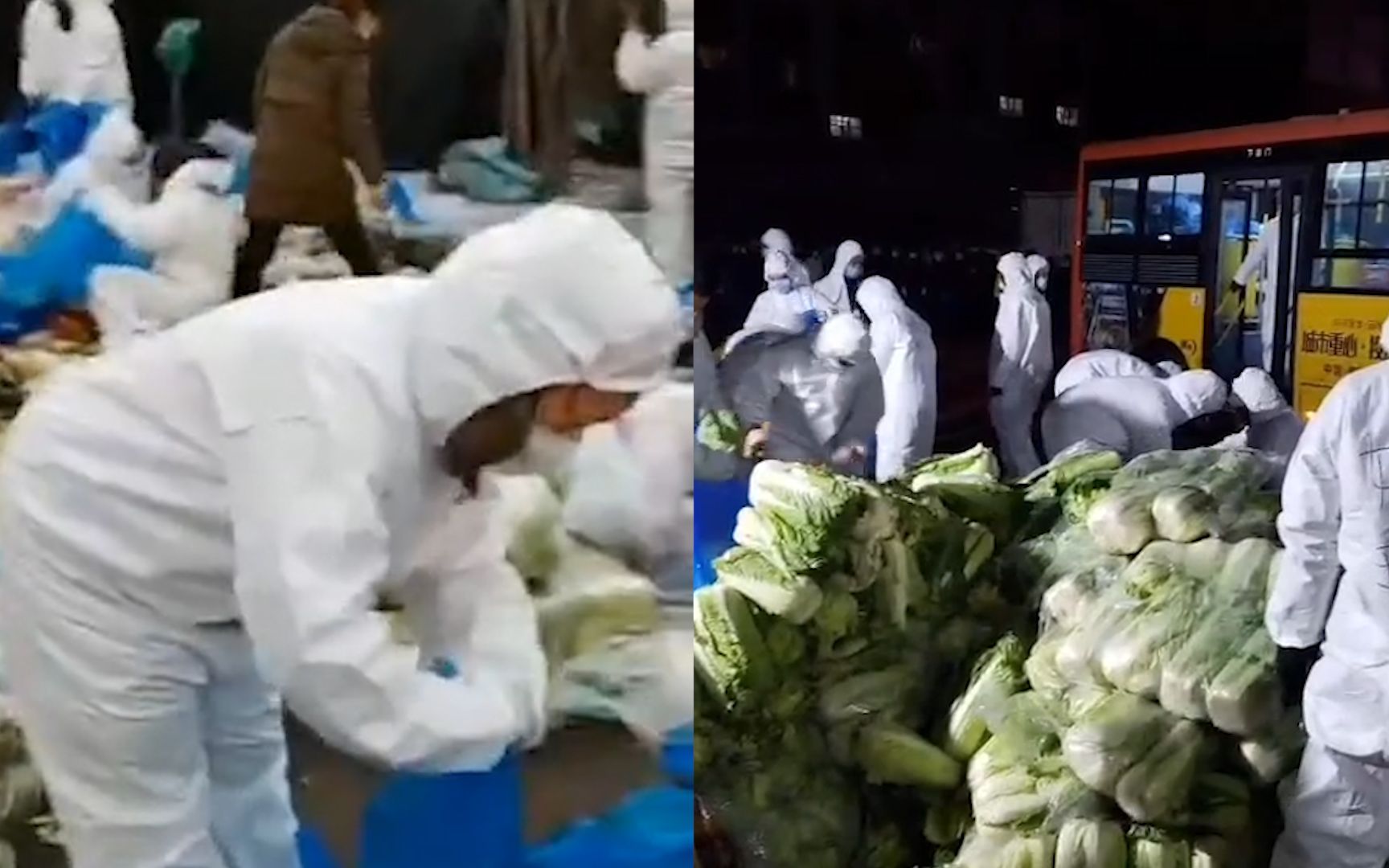 通化再回应物资紧缺问题 实拍当地物资配发：志愿者连夜打包蔬菜