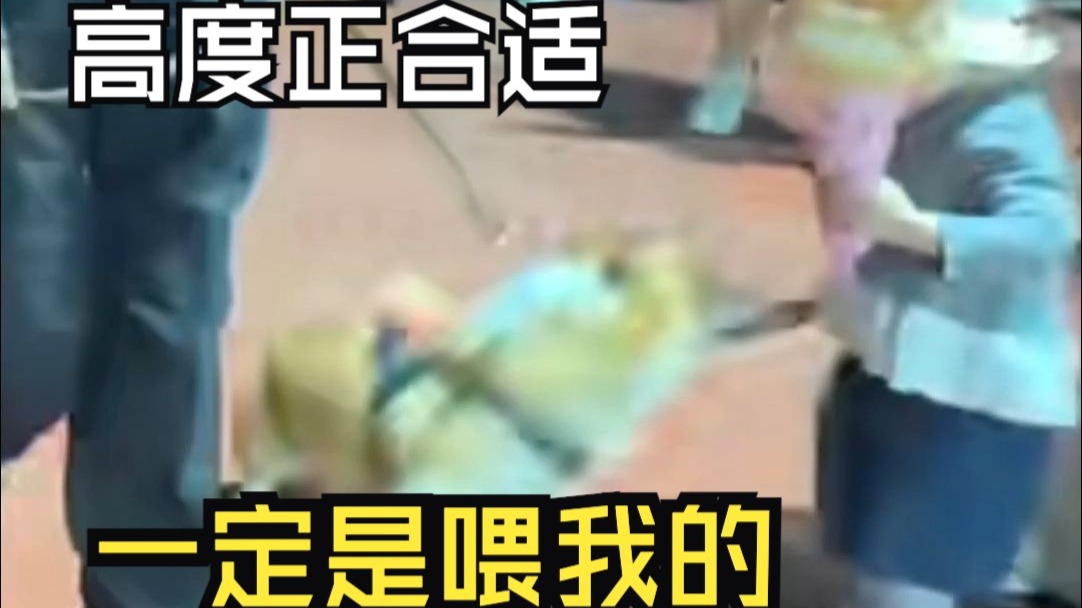 柯基警犬福仔巡逻时偷吃火腿肠 训导员发视频寻人道歉 早年间入编时珍贵影像曝光……
