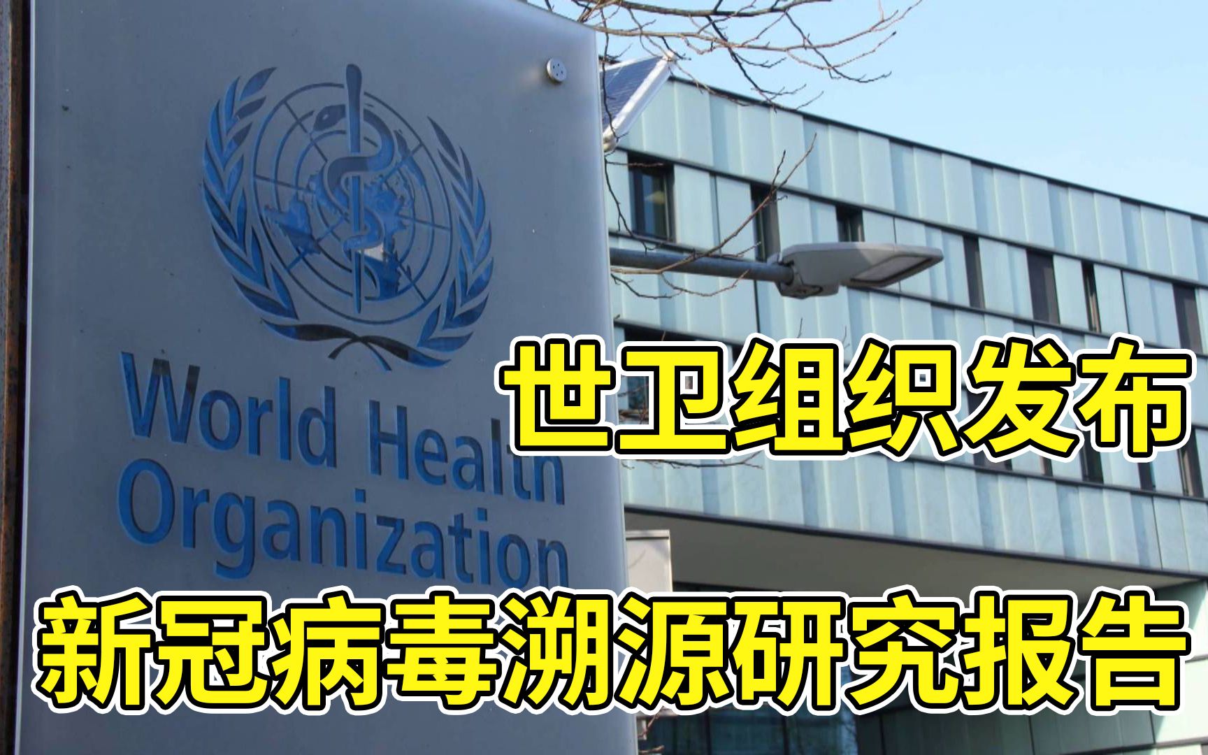 世卫组织发布新冠病毒溯源研究报告，粉碎美国试图抹黑中国的阴谋