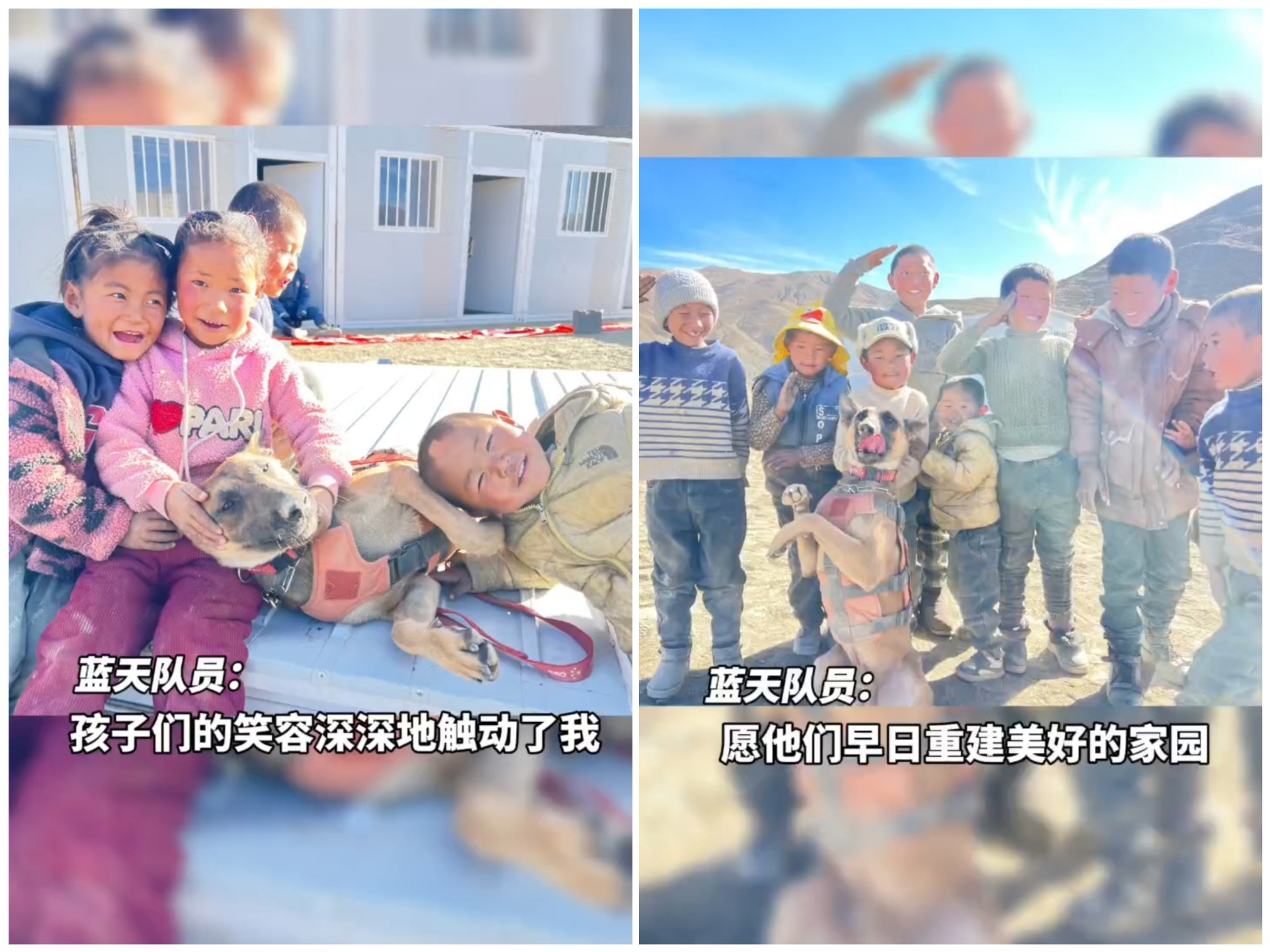 西藏震区的孩子们和搜救犬一起玩了起来，笑容好治愈