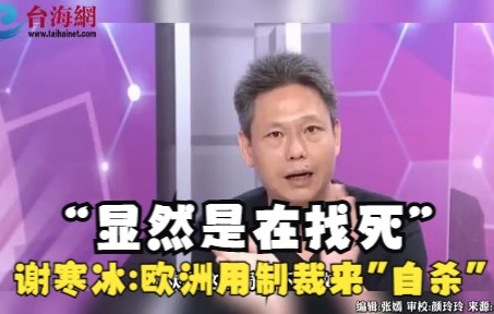 “显然是在找死” 谢寒冰:欧洲在用制裁来"自杀"