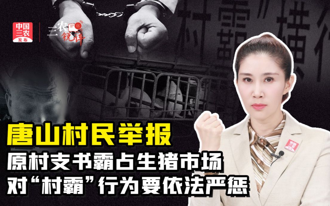三农锐评丨对“村霸”行为要依法严惩