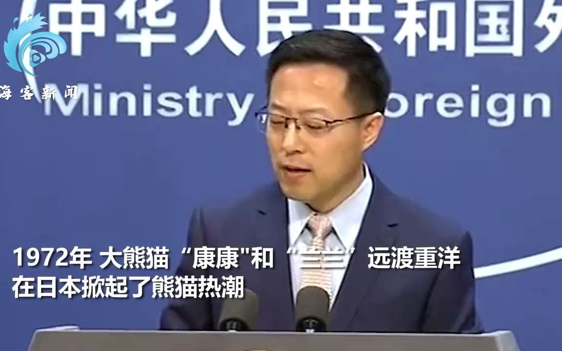 听闻日本熊猫宝宝喜讯 赵立坚向“熊猫粉”表感谢用一句诗送祝福