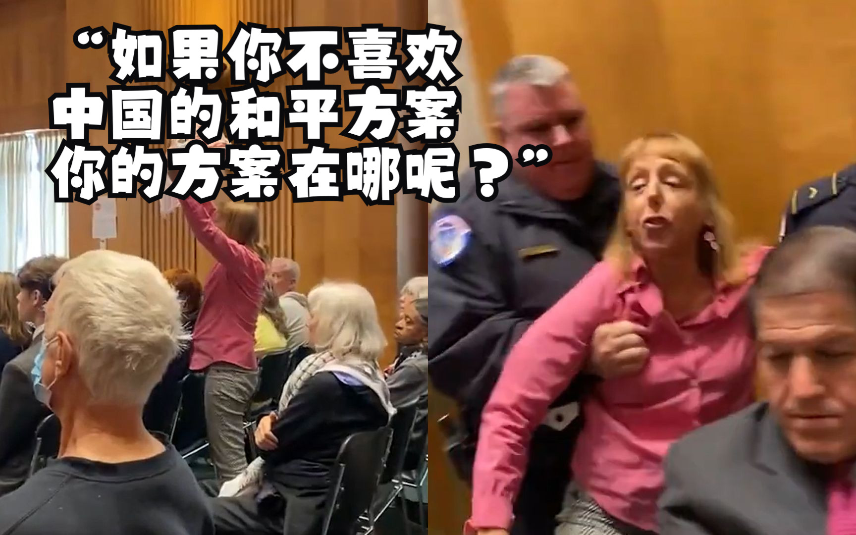 “如果你不喜欢中国的和平方案 你的方案在哪呢？”