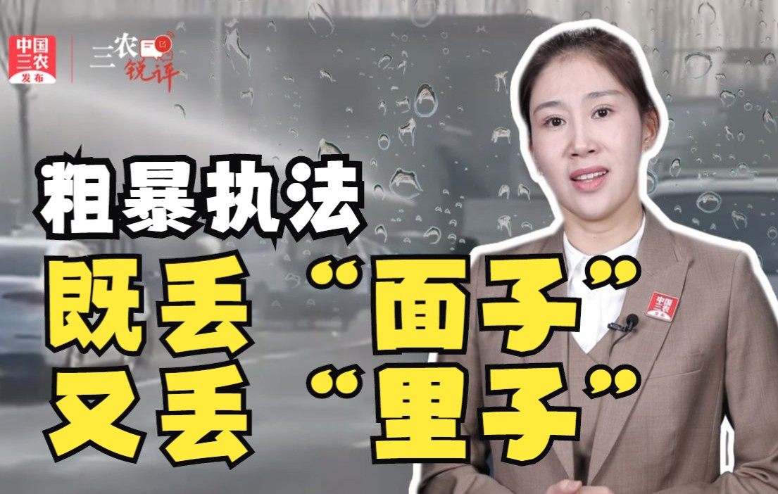 三农锐评丨粗暴执法，既丢“面子”又丢“里子”