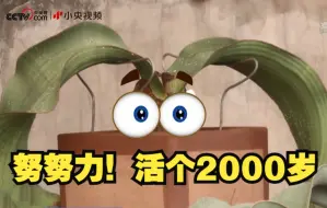 国家植物园有种植物努努力能活2000岁