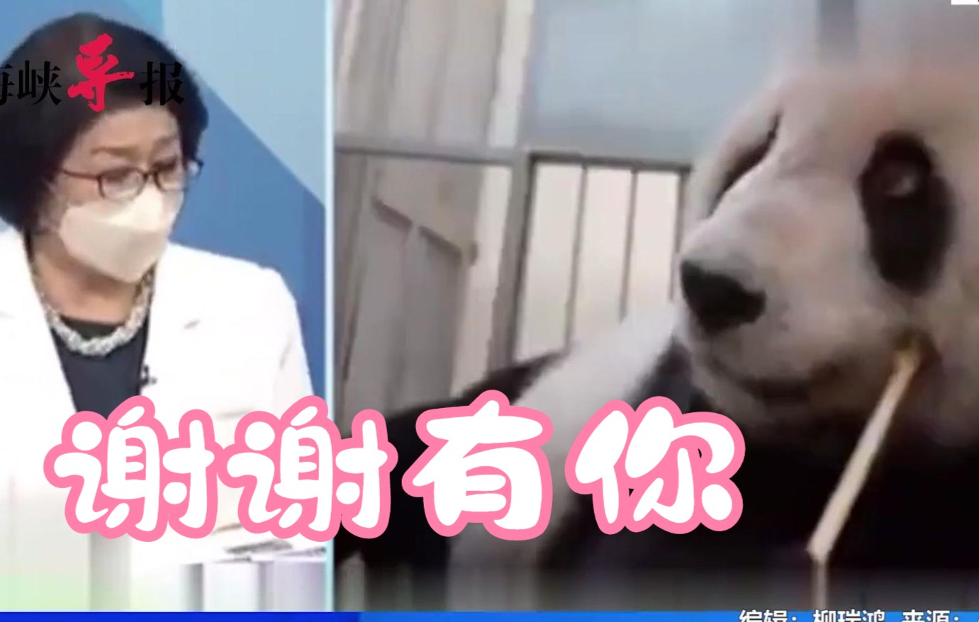 雷倩哽咽感谢“团团”带来两岸和平，不解蔡英文为何无感