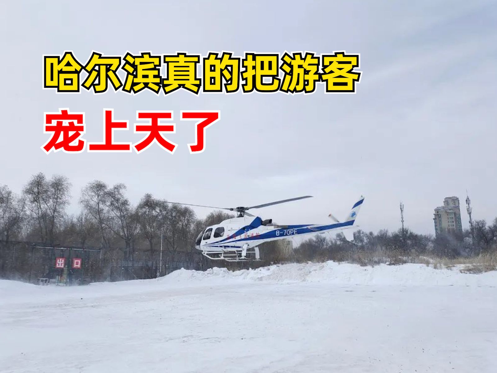 直升机载小金豆俯瞰冰雪大世界，哈尔滨真的把游客宠上天了