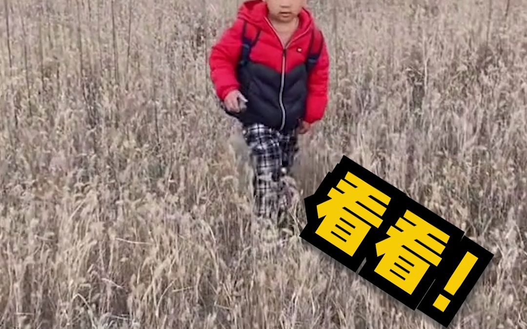 5岁男孩和家人一起登山，发现大片疑似海洋古生物化石，博物馆：向相关部门反馈此事