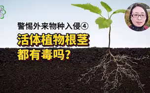 活体植物根茎都有毒吗？