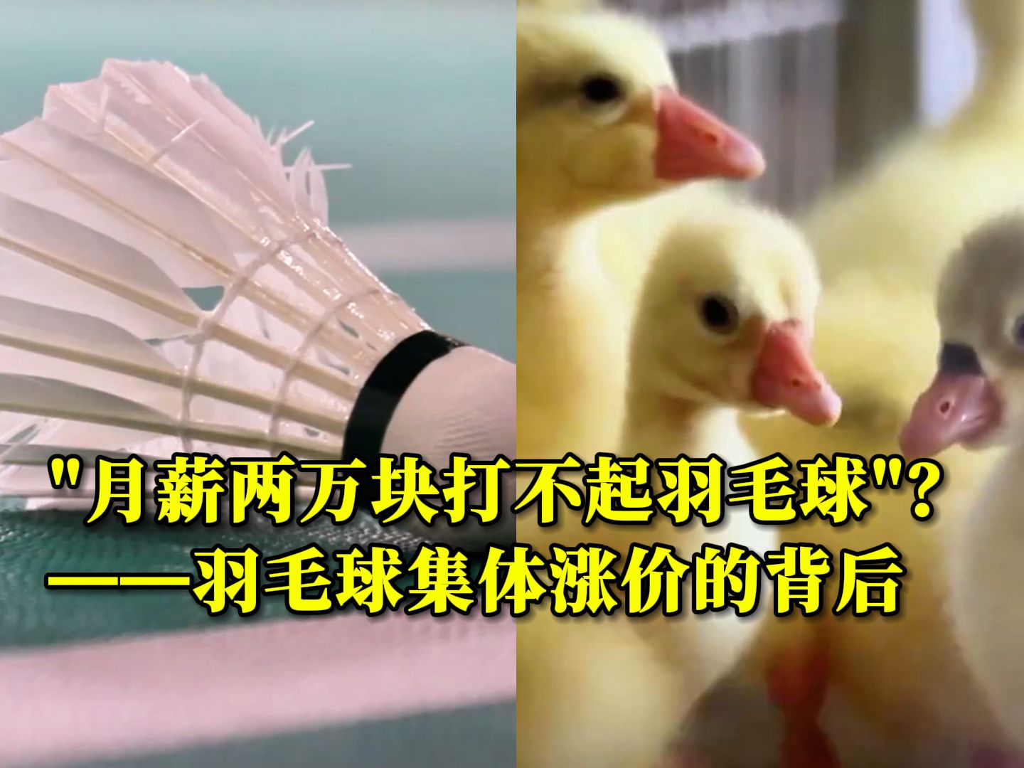 新华视点｜“月薪两万块打不起羽毛球”？——羽毛球集体涨价的背后