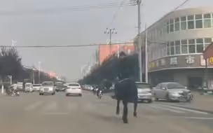 男子为耍帅闹市骑马一路狂奔 被交警拦下后又偷骑……
