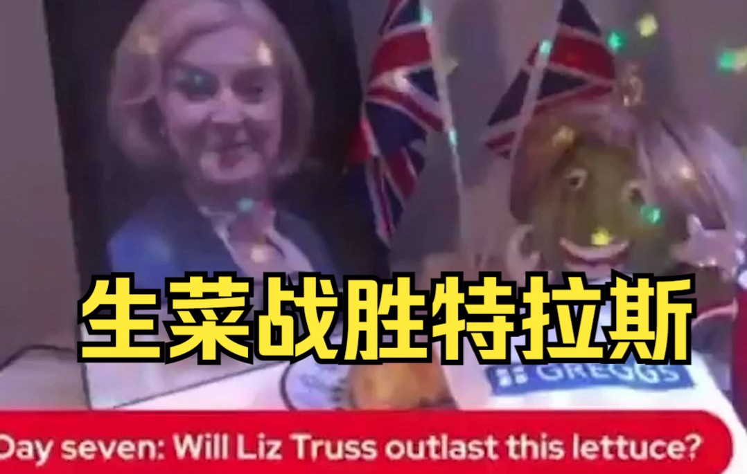英媒宣布直播结果：生菜战胜特拉斯
