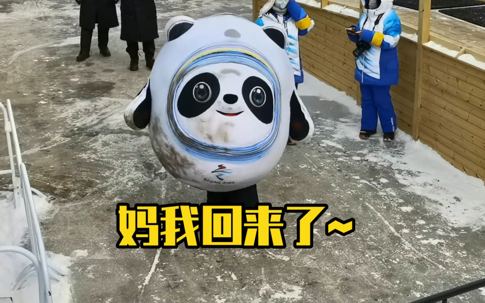 妈见打系列！冰墩墩变身泥墩墩！