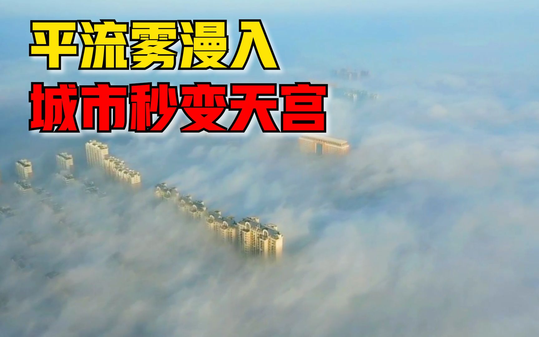 “雾”入仙境！山东昌邑上空现平流雾美景，高空俯瞰宛如仙境