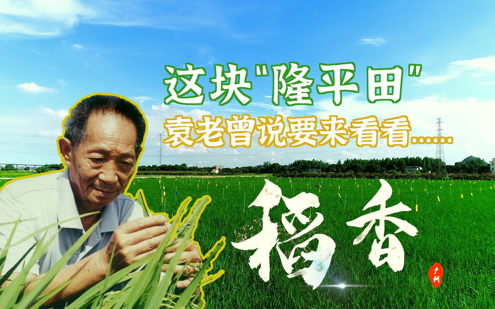 广州有块“隆平田”，静待六月稻花开，袁老曾说要来看看