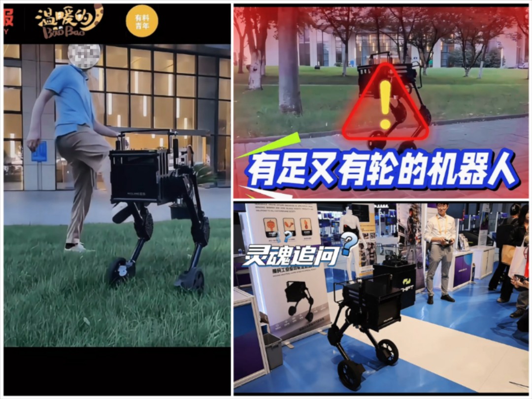 踢不倒的机器人？走路增速鞋？进博会创新孵化专区有什么