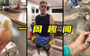 一周趣闻：拜登宠物狗尿尿抢镜直播 外卖机器人出了“车祸”