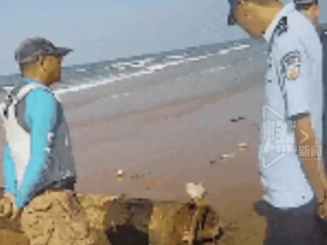 山东威海一海滩发现甲午战争鱼雷