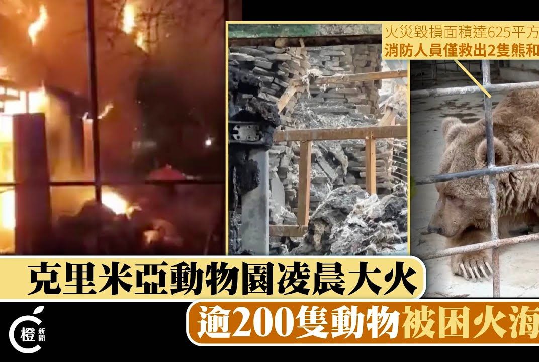 克里米亚动物园大火，逾200只动物惨死