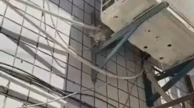 胆战心惊的一幕！还好…她出手了