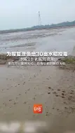 为报复泄愤给30亩水稻投毒  沙场3个老板均获刑 原告方：量刑太轻，投毒后稻田颗粒无收