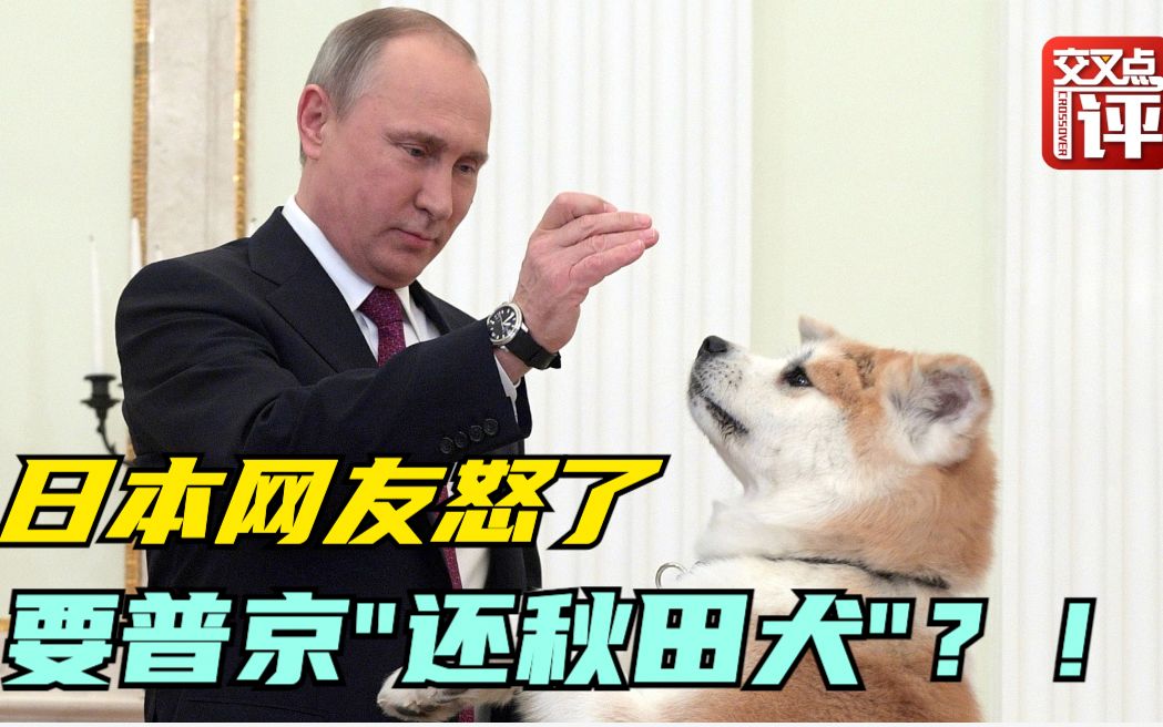 俄罗斯干了什么，让日本网友气急败坏喊话普京：还我们的秋田犬！