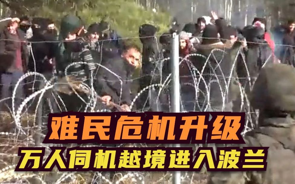 铁丝网遭暴力破坏 波兰与白俄罗斯边境难民危机升级
