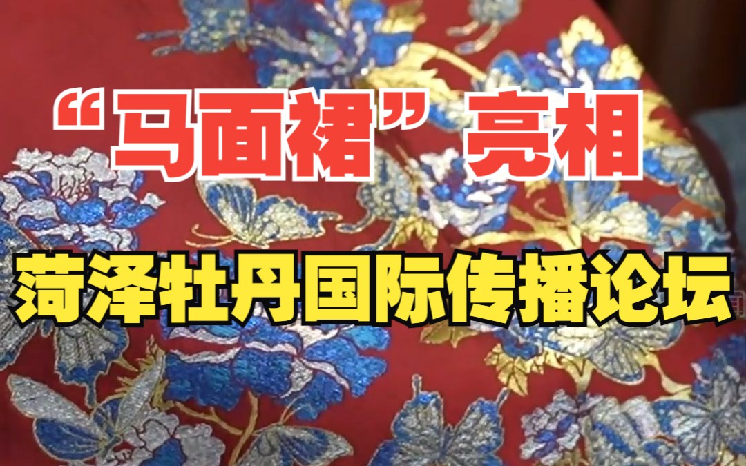 惊艳！志愿者身着曹县汉服“马面裙”亮相菏泽牡丹国际传播论坛