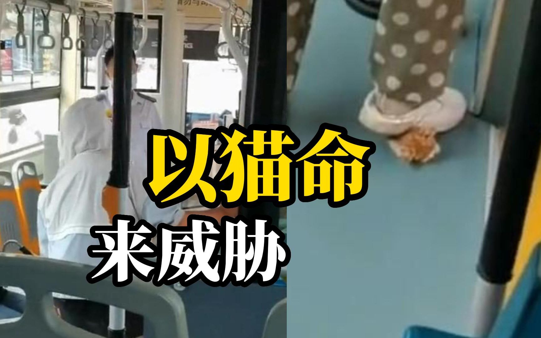 女子称没零钱坐公交，也不愿意下车，将自己的宠物猫踩脚下威胁司机：让我下车我就踩死它