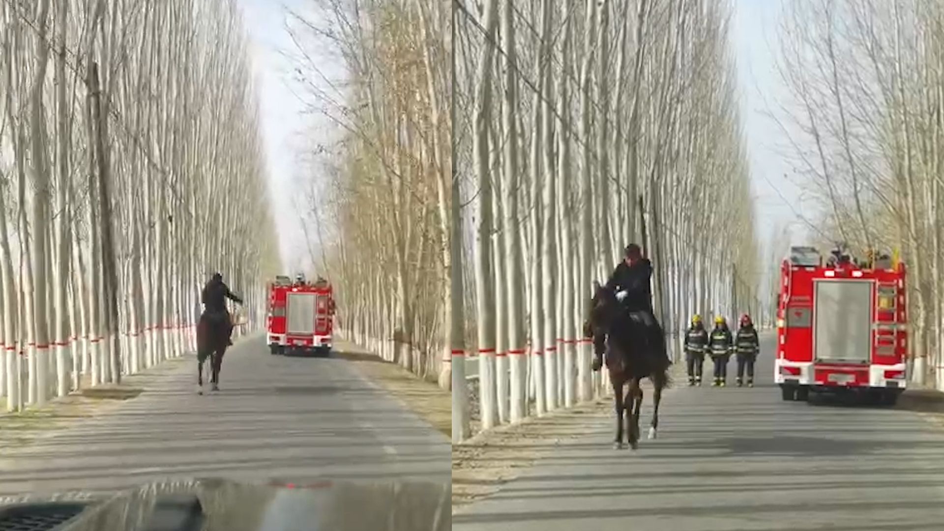 儿子完成任务路过家门 父亲策马追上消防车“投喂”馕饼