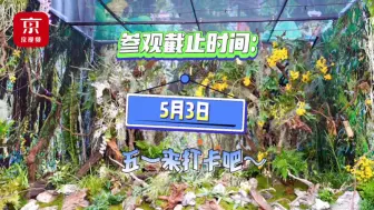 五一假期和“神奇植物”有约！