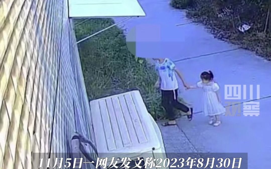 家长发文称4岁半女儿被未满12岁男孩推入粪缸杀害，警方：正在处理中