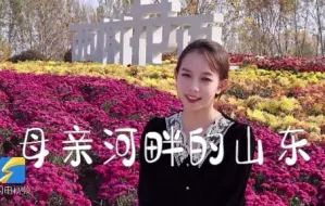 母亲河畔的山东丨黄河楼远眺 滨州的秋天有N种颜色