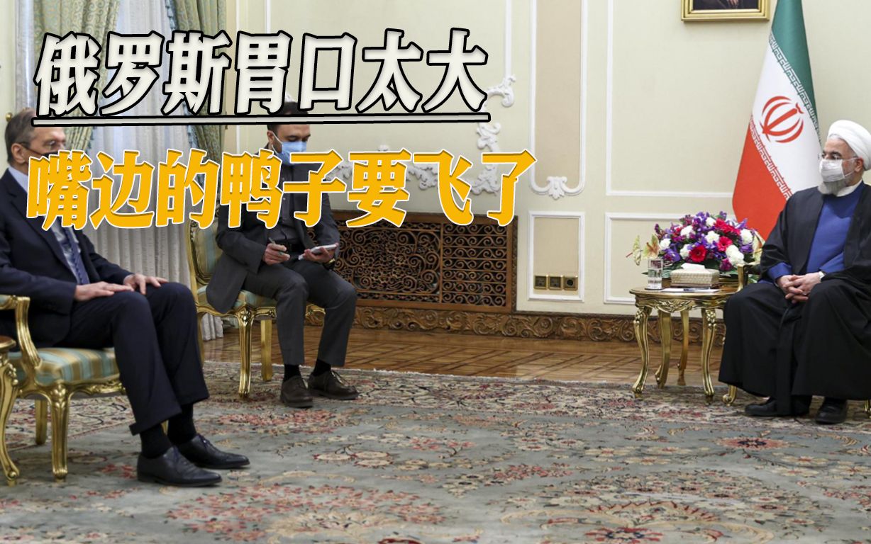 俄罗斯大单要黄？伊朗态度突然转变，不再进口苏35战机