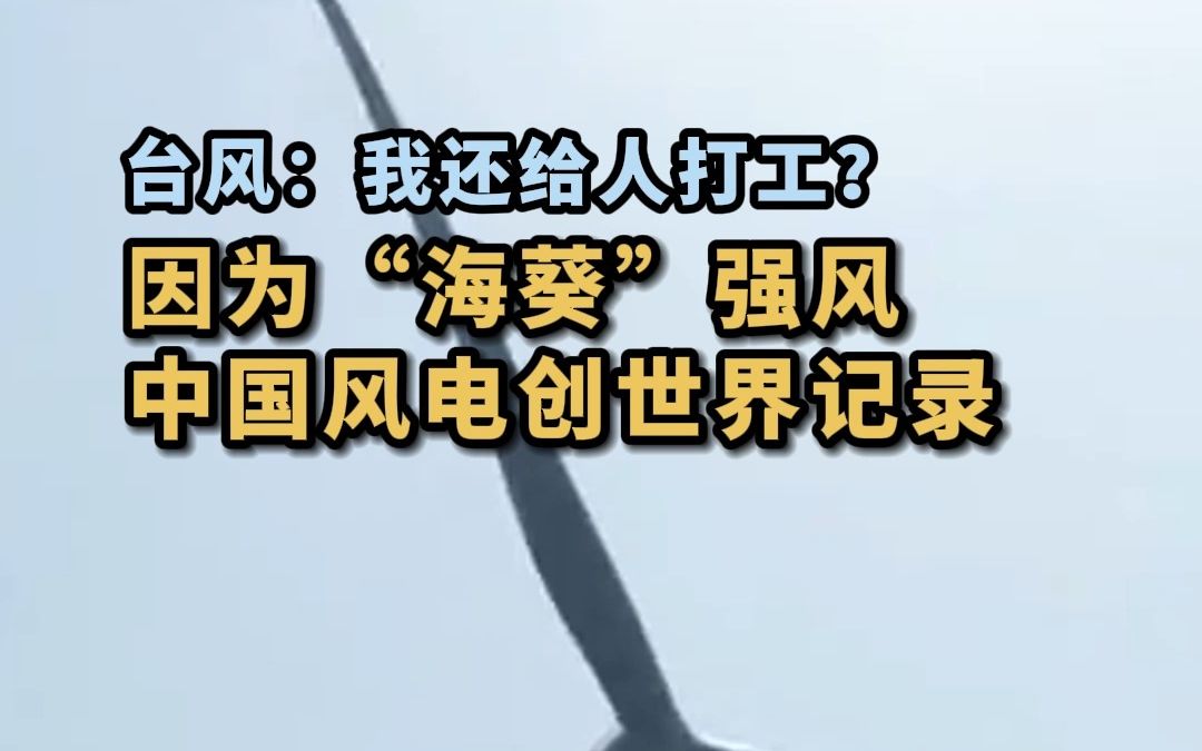 歪打正着：受台风海葵影响，中国三峡风力机组单日发电38.41万千瓦时，创全球风电单日发电新纪录。该电量相当于近17万人一天生活用电，或帮它超额完成任务。